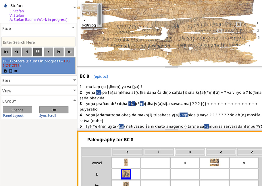 Software Research Environment for Ancient Documents