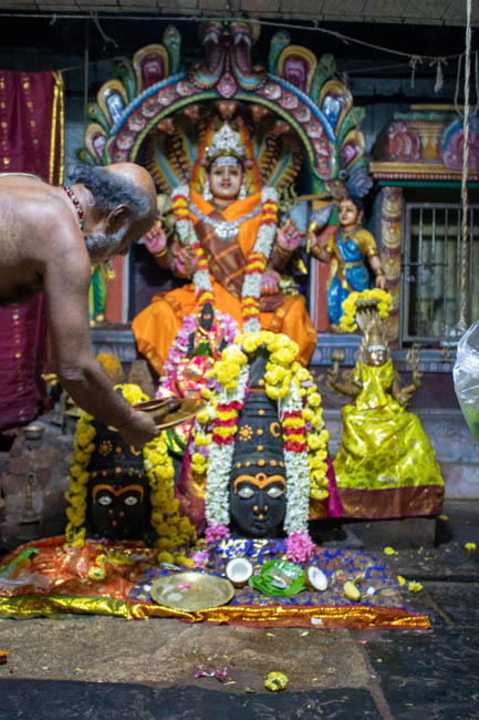 Priester bei der Verehrung der Göttin Thumbavannamman