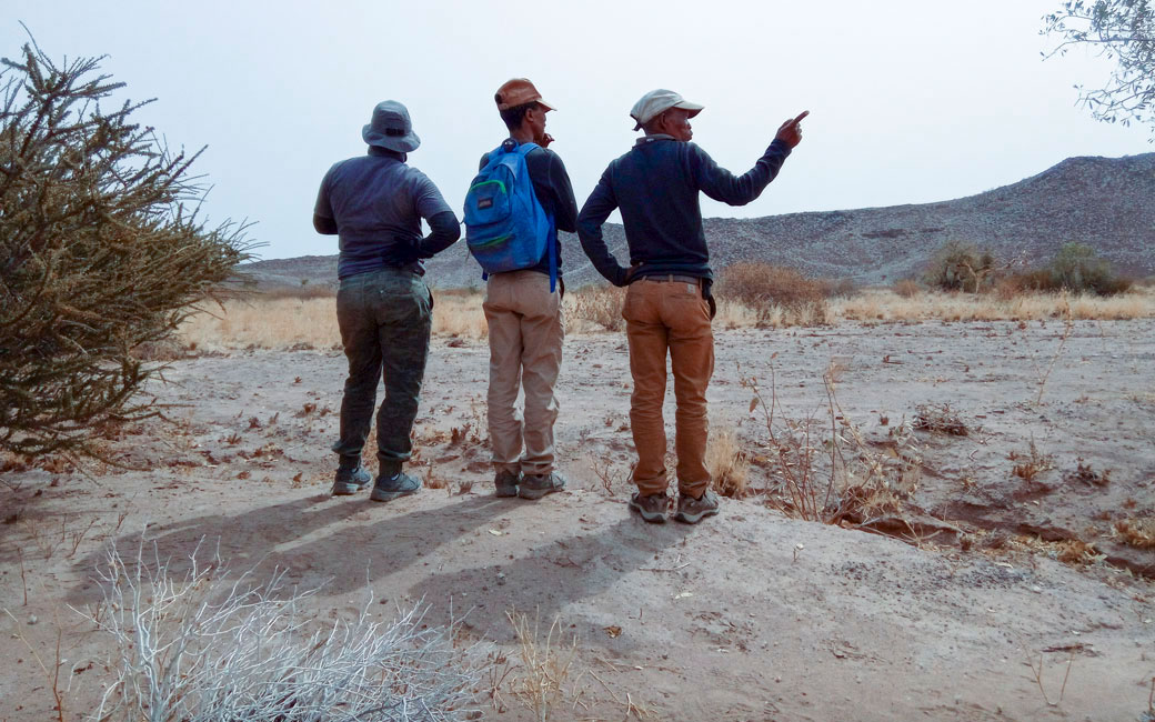 Experten auf der Suche nach Tieren in der Landschaft von Doro Nawas