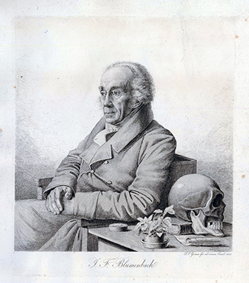 Portrait Friedrich Blumenbach