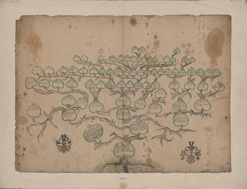 Stammbaum der Ohrdrufer Linie der Bach-Familie (1773)