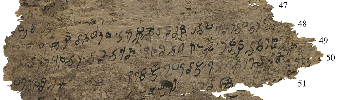 Die Handschriften sind in der mittelindische Gāndhārī-Sprache und der linksläufigen Kharoṣṭhī-Schrift verfasst. 
