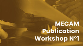 First publication workshop at the Merian Centre for Advanced Studies in the Maghreb (MECAM), Tunis, Tunisia
