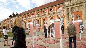 Die Open Air Installation „Das filmische Gesicht der Stadt Potsdam“ 